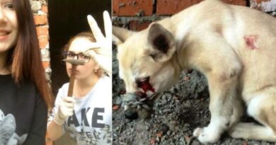 Alina Orlova What Happened To Alina Orlova Dogs And Other Pets Culprit In Custody In The Sadistic Killer Case!-Featured