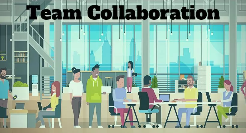 Collaborating with Your Team