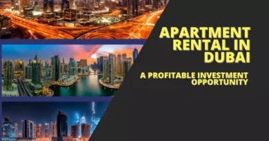 Apartment Rental in Dubai